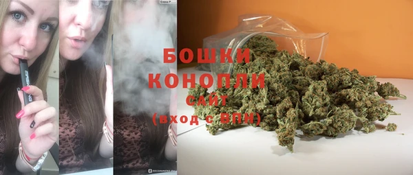 шишки Абинск