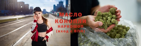 стаф Дмитров