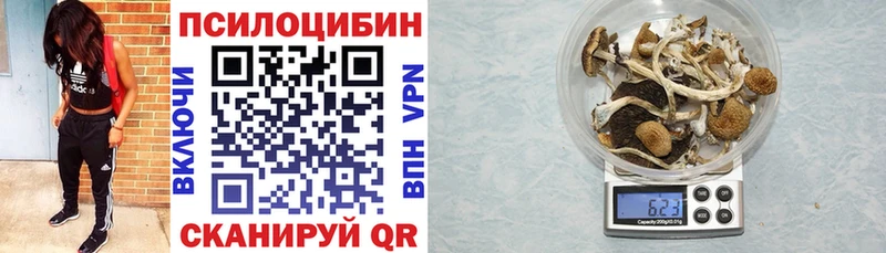 Псилоцибиновые грибы мухоморы  Нахабино 